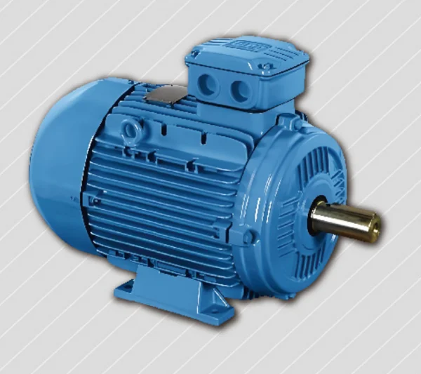 Motor illustration in the SEIZE AIR two-stage compressor catalogue
